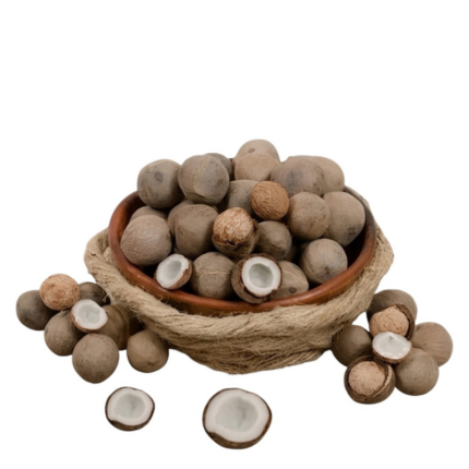 COQUITO CHILENO 100 GR